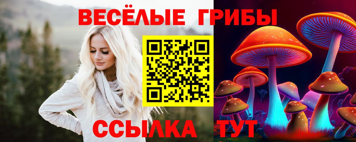 Новоалександровск  Псилоцибиновые грибы GOLDEN TEACHER  Вход с VPN 