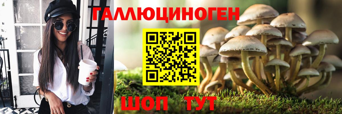 Галлюциногенные грибы Cubensis Новоалександровск